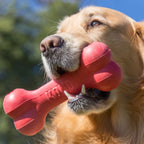 KONG Extreme Goodie Bone